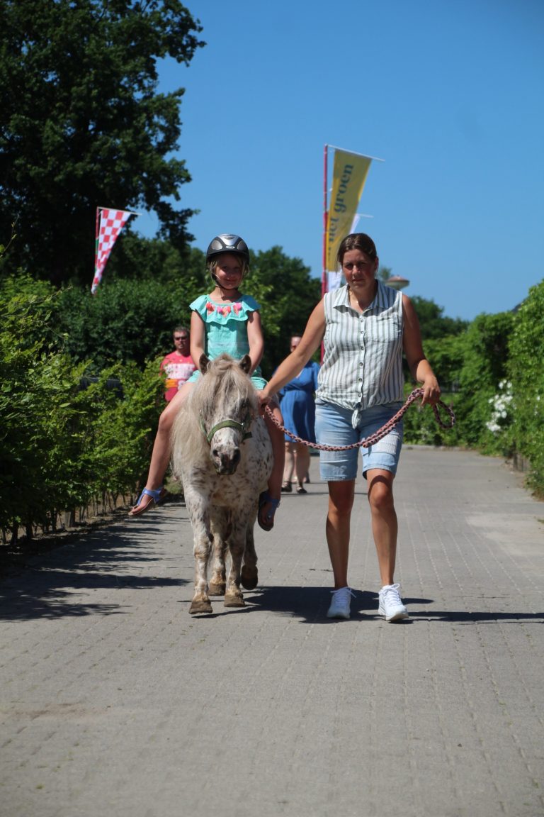 Meisje zit op paard