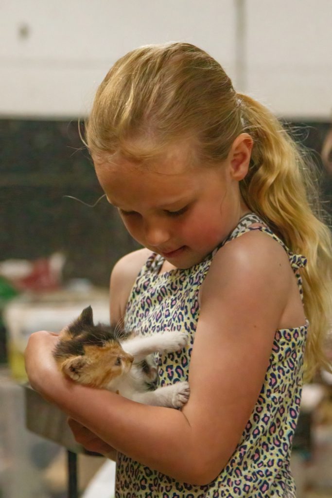 Meisje die kitten vasthoudt